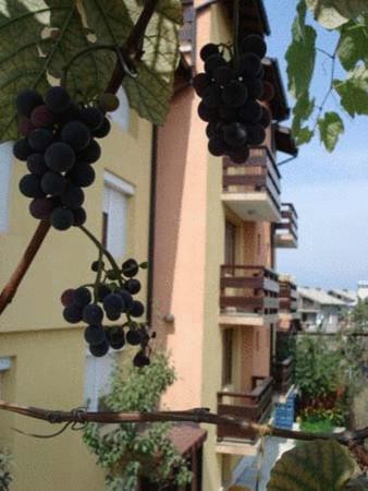 Hotel Mavrikova Kushta Bansko Zewnętrze zdjęcie