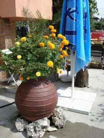 Hotel Mavrikova Kushta Bansko Zewnętrze zdjęcie
